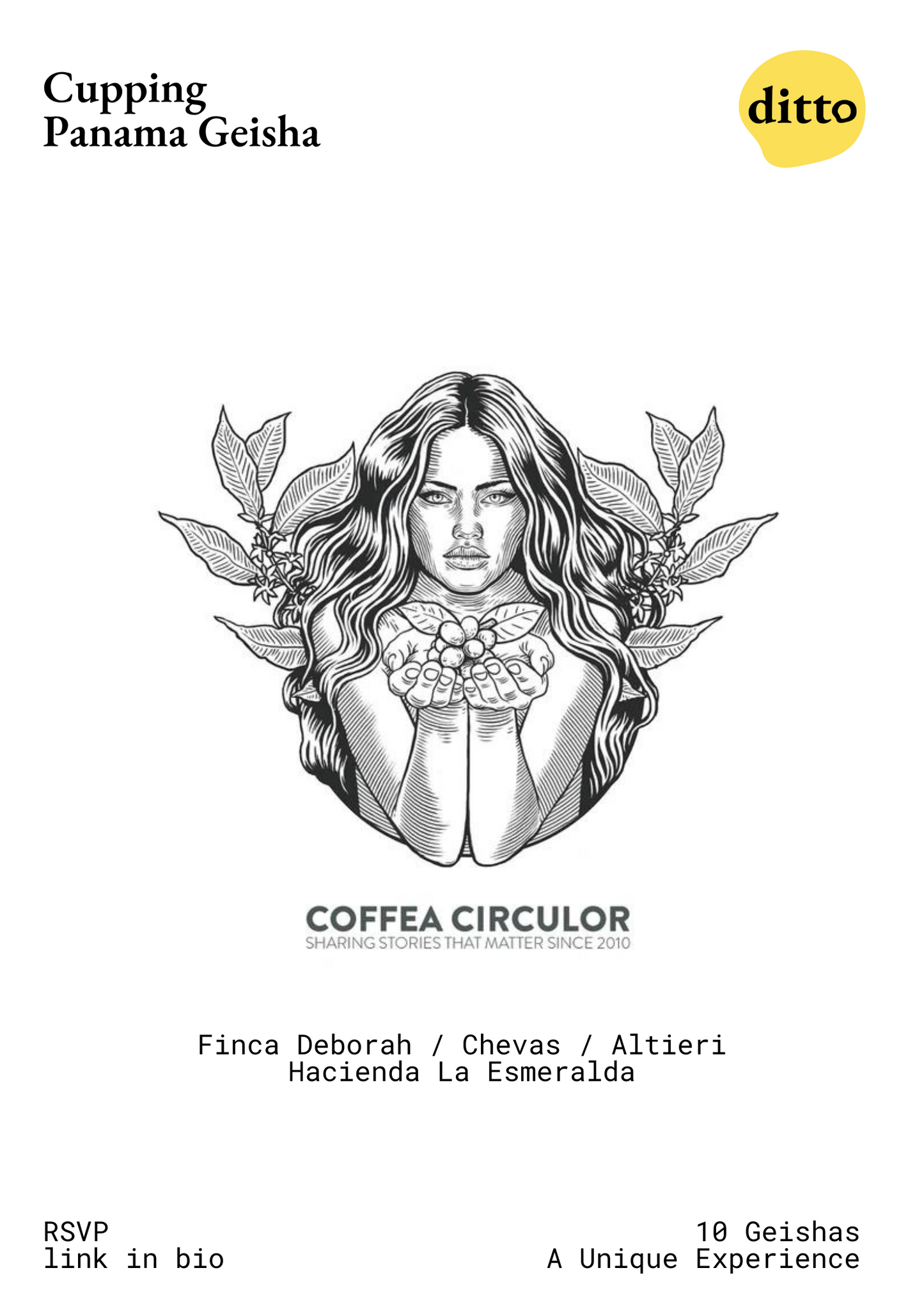 CUPPING WITH COFFEA CIRCULOR