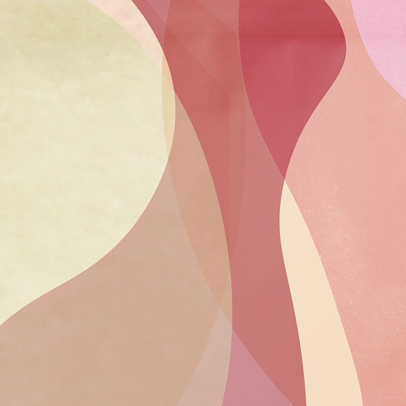 COSTA RICA - LOURDES de NARANJOS