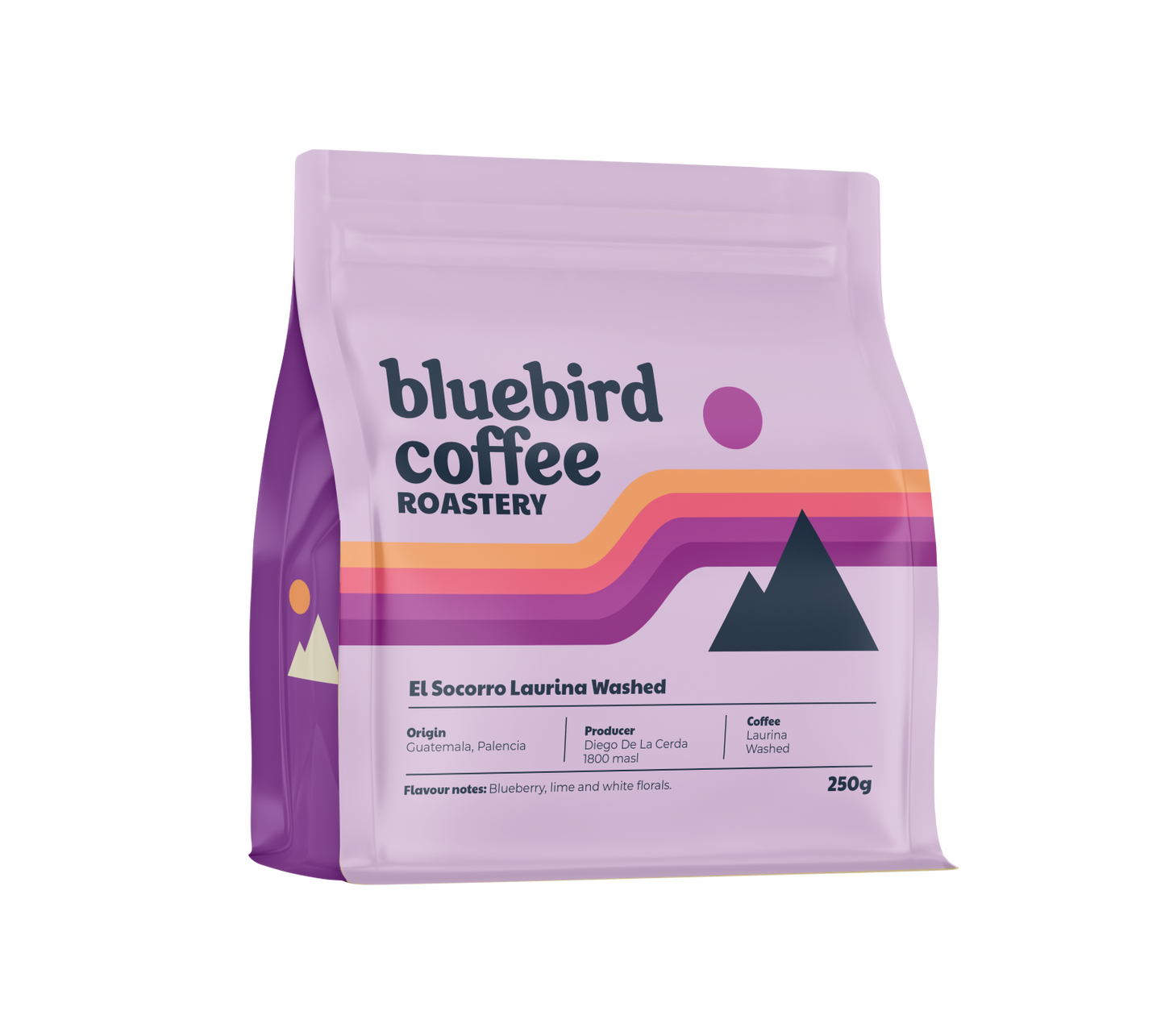 GUATEMALA - EL SOCORRO (LAURINA)