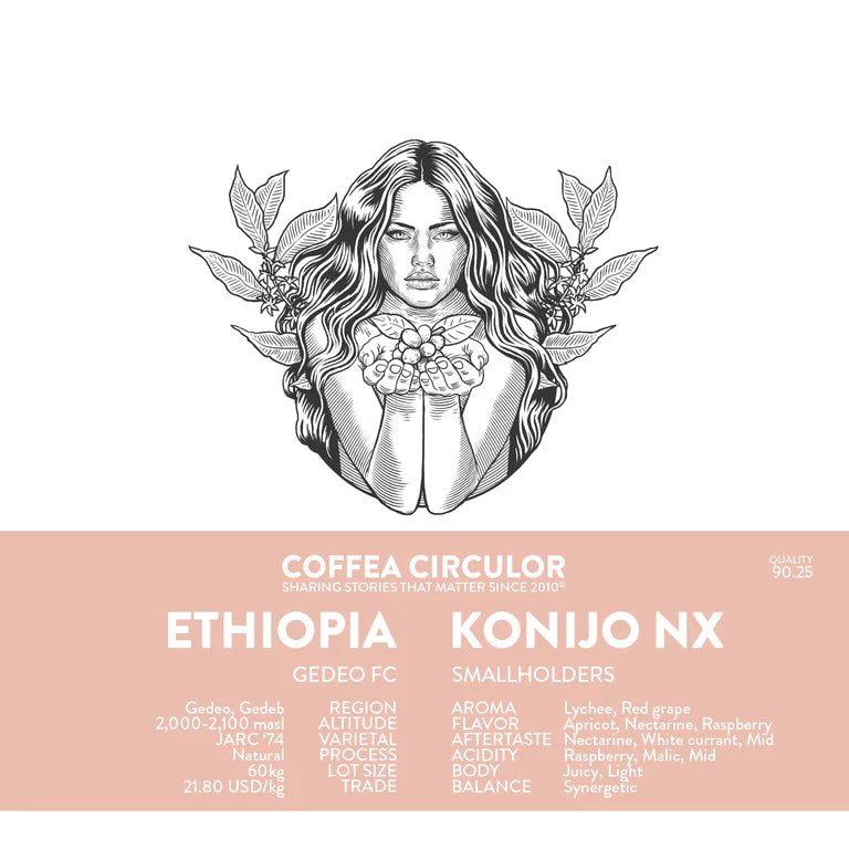 ETHIOPIA KONIJO