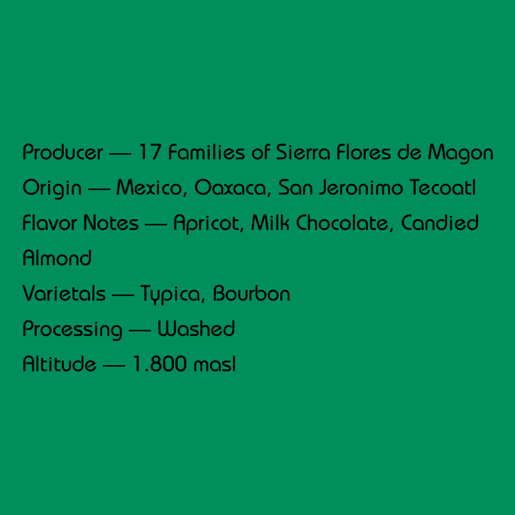 MEXICO - SIERRA FLORES