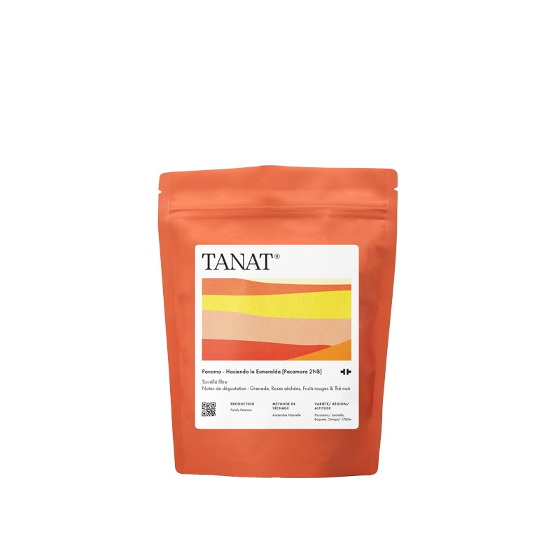 PANAMA LA ESMERALDA PACAMARA