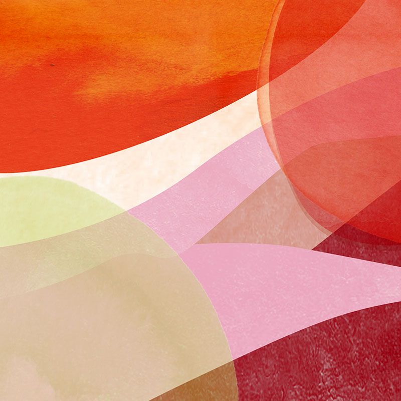 PANAMA - MI FINQUITA (TYPICA)