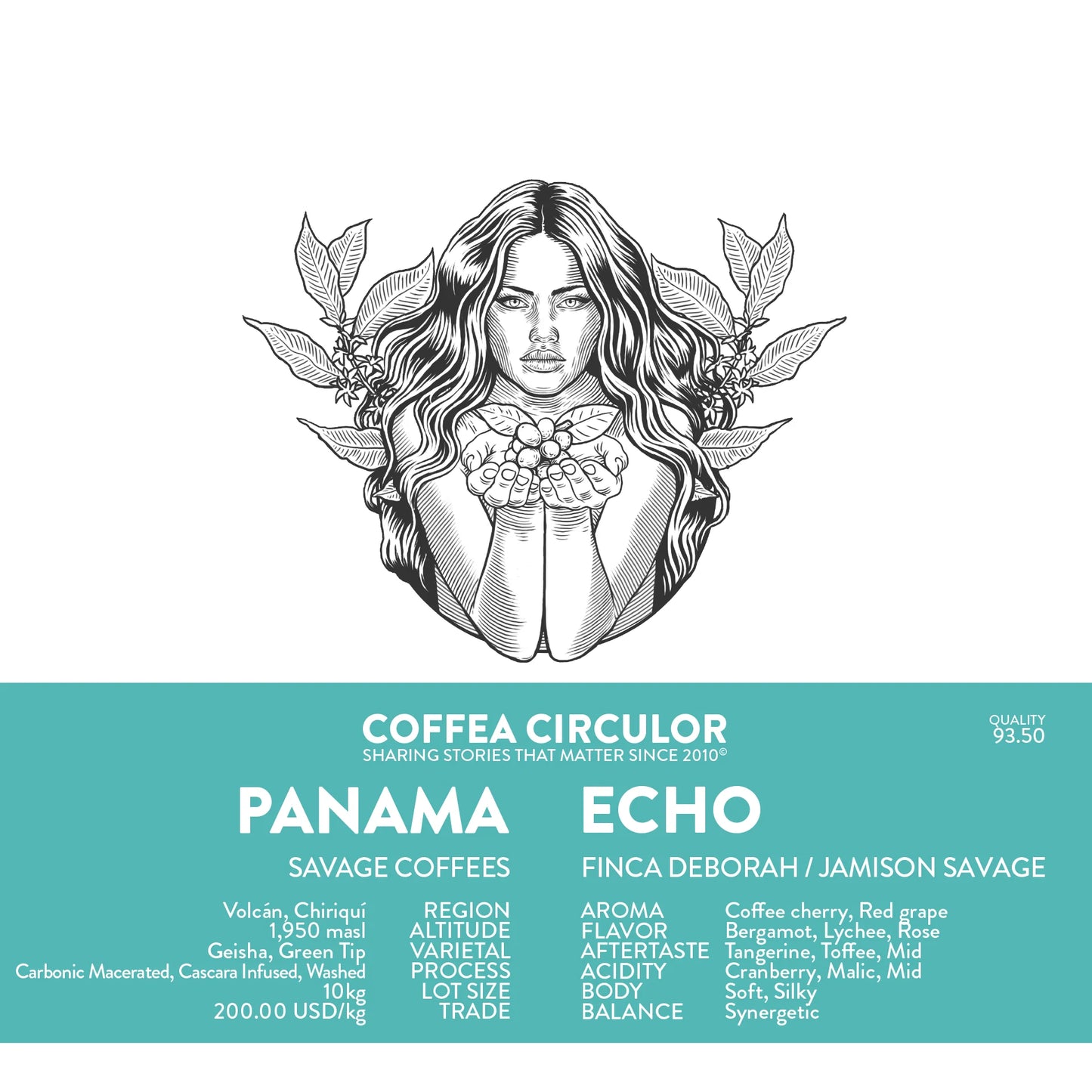 PANAMA DEBORAH ECHO