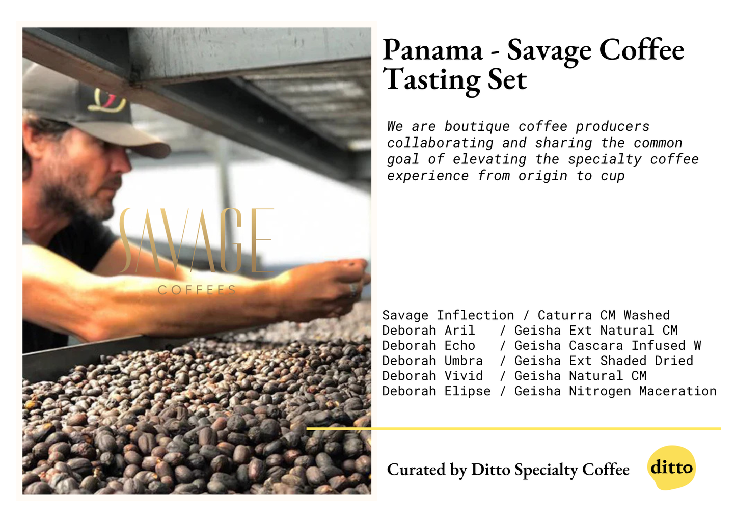 PANAMA SAVAGE DEBORAH TASTING SET