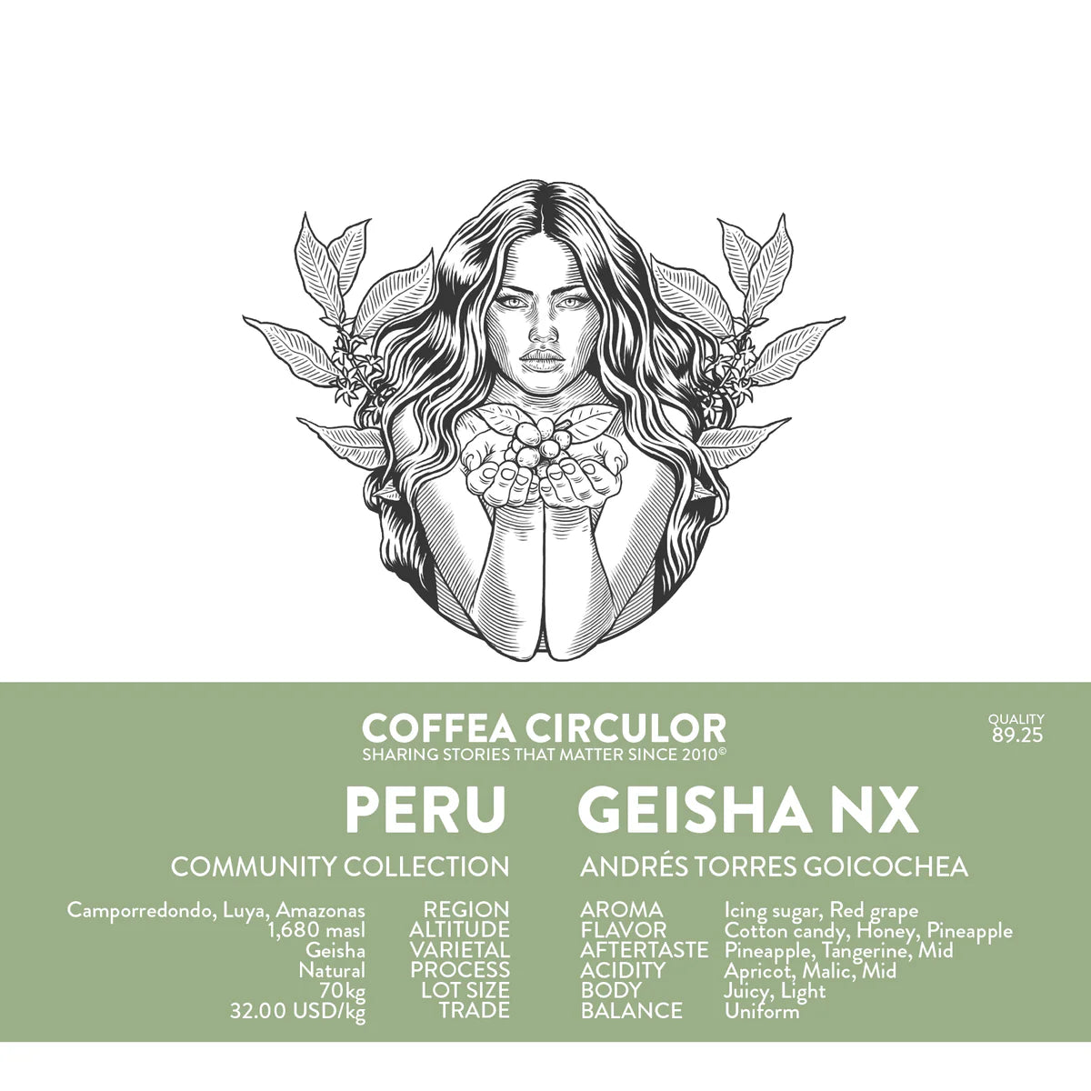 PERU DON ANDRES GEISHA