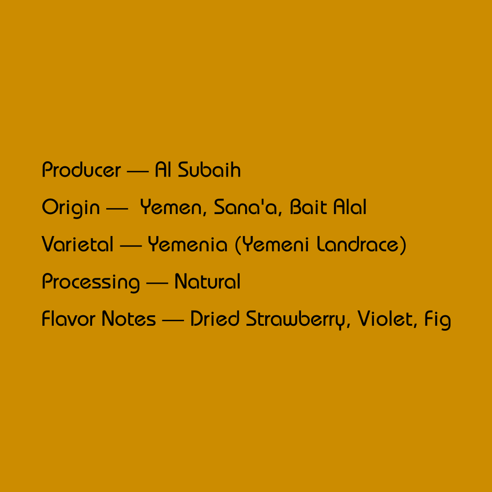 YEMEN - AL SUBAIH
