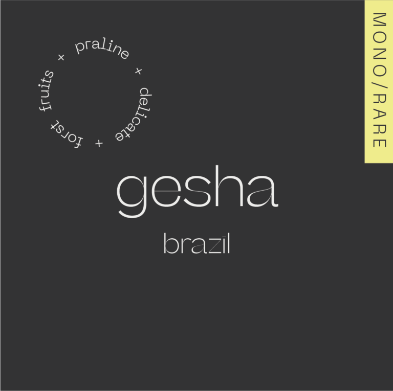 BRAZIL - GEISHA PATRICIA