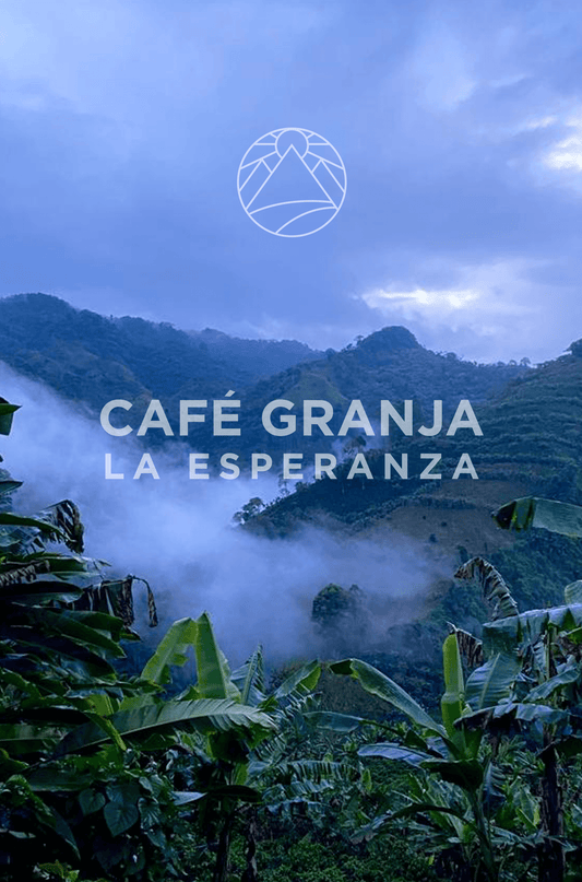 COLOMBIA CGLE TASTING SET