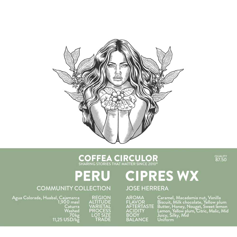 PERU - CIPRES WX