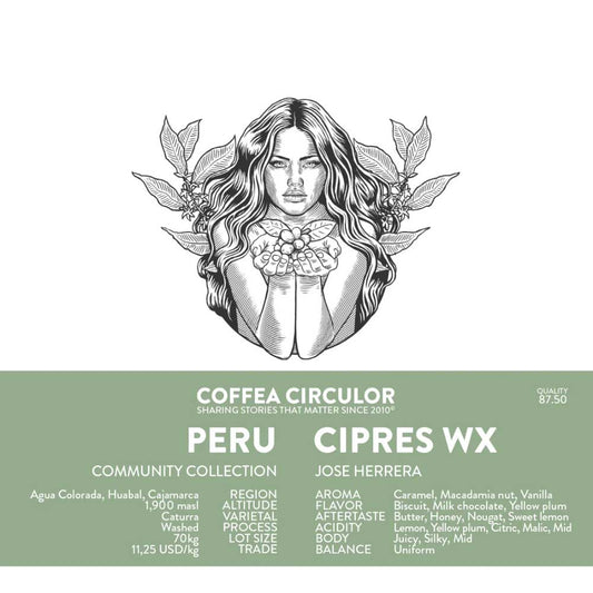 PERU - CIPRES WX