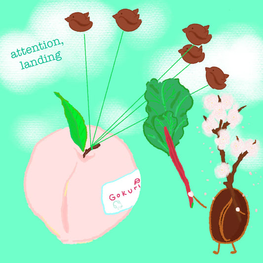 Colombia El Paraiso Pink Bourbon