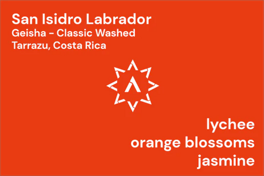 COSTA RICA SAN ISIDRO LABRADOR