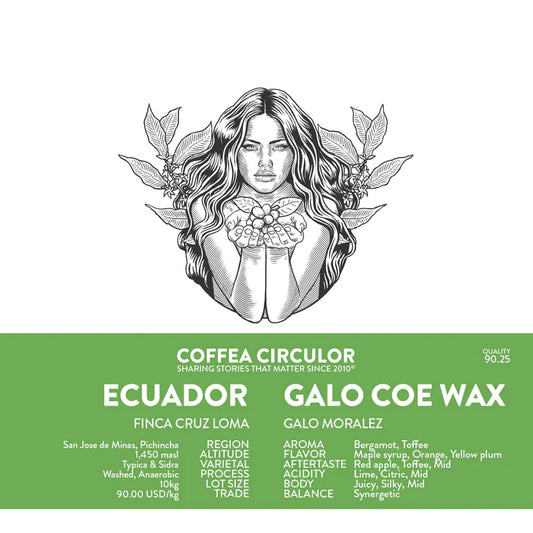 ECUADOR CRUZ LOMA COE WAX