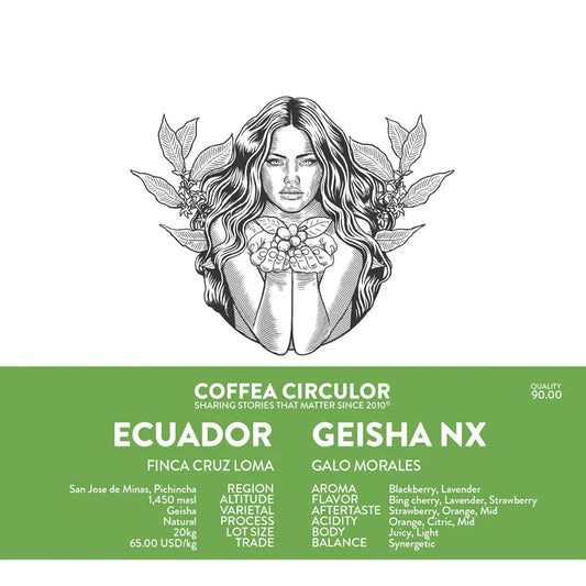 ECUADOR CRUZ LOMA GEISHA NX