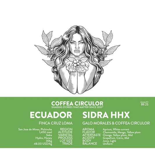 ECUADOR CRUZ LOMA SIDRA HHX