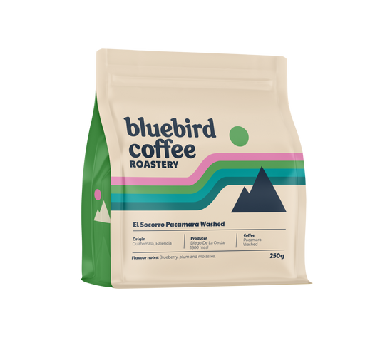 GUATEMALA  - EL SOCORRO (PACAMARA)