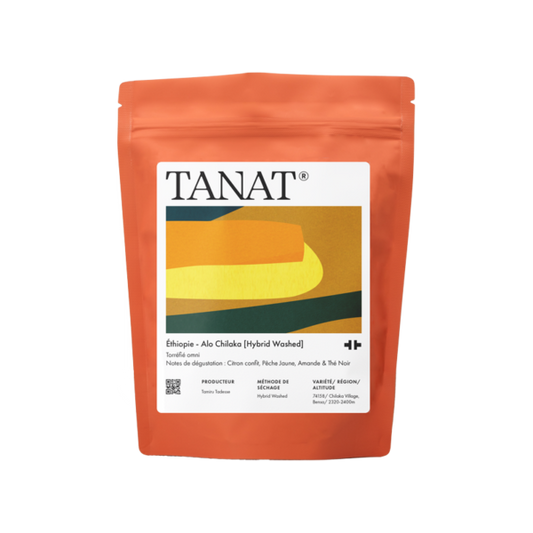 Ethiopia Alo Chilaka