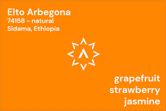 ETHIOPIA ELTO ARBEGONA