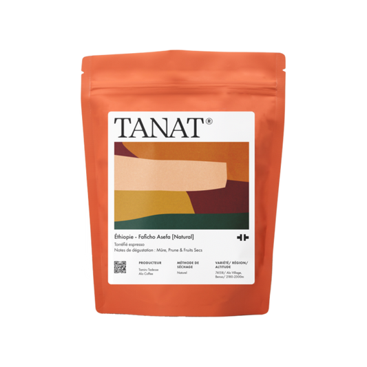 Ethiopia Faficho Asefa (Esp)