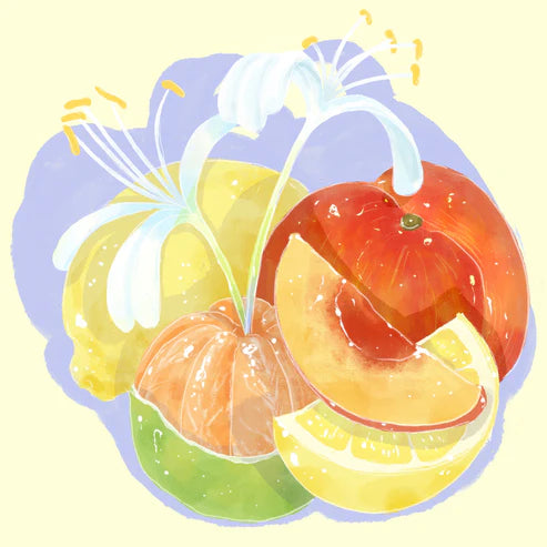 Ethiopia Habtamu Fekadu