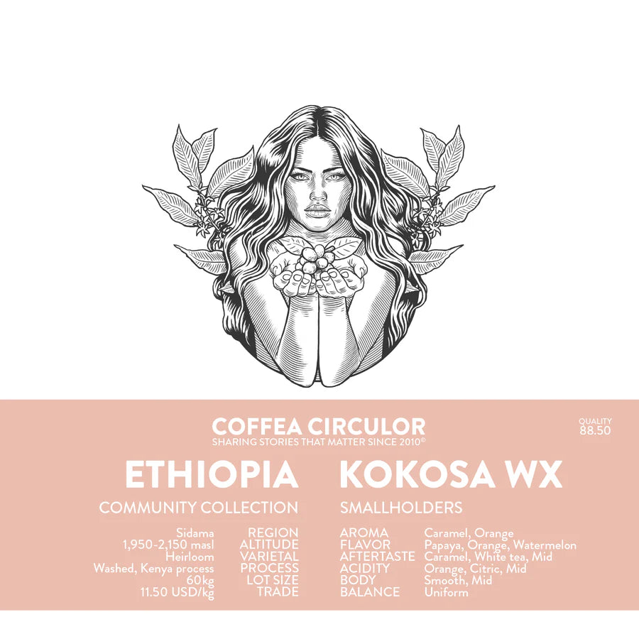 ETHIOPIA - KOKOSA