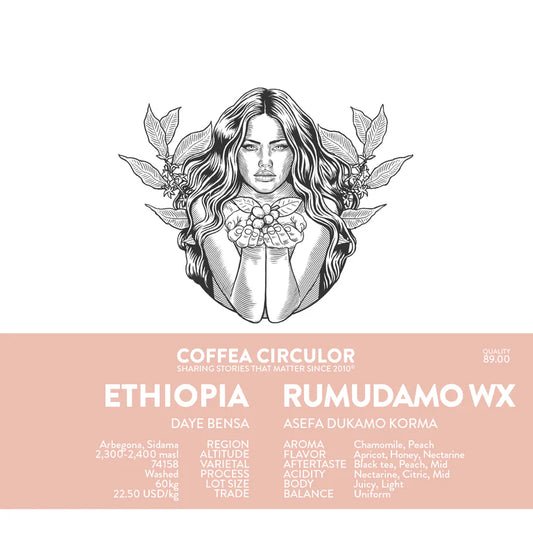ETHIOPIA RUMUDAMO WX
