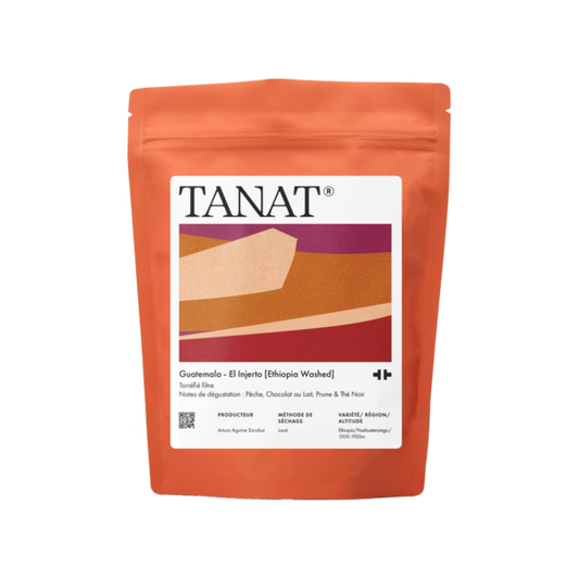 Guatemala El Injerto Ethiopia