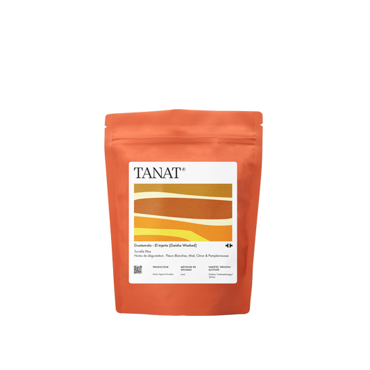 Guatemala El Injerto Geisha