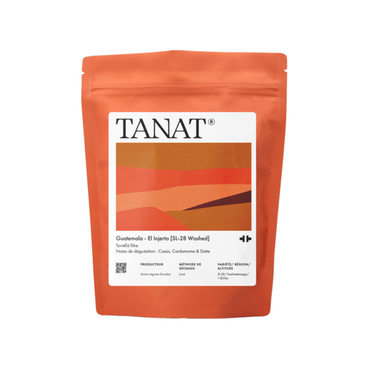 Guatemala El Injerto SL28