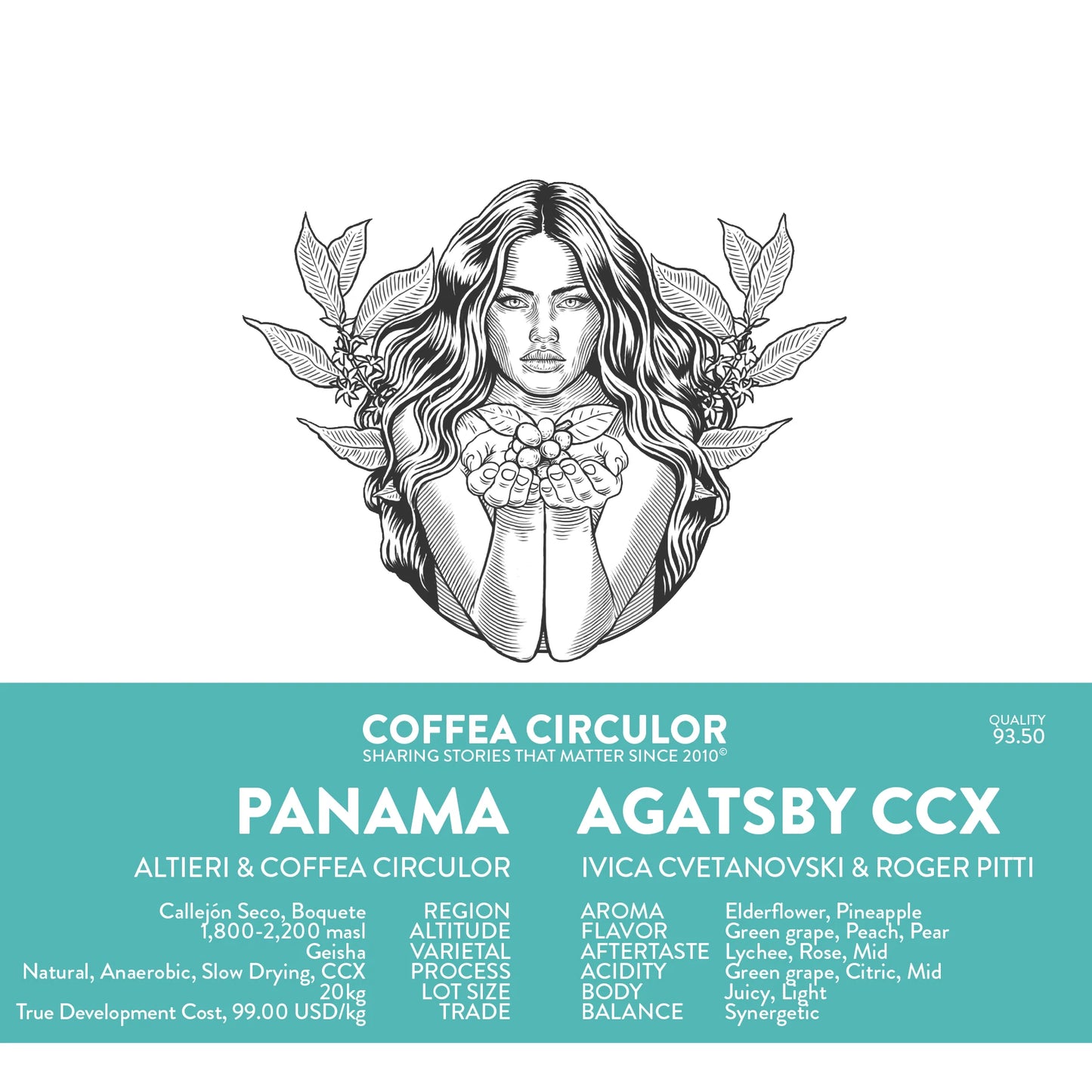 PANAMA ALTIERI AGATSBY CCX