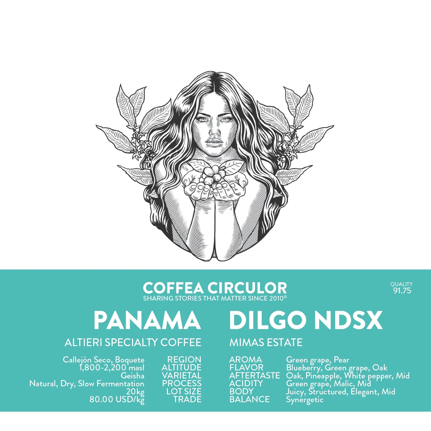 PANAMA ALTIERI DILGO NDCX