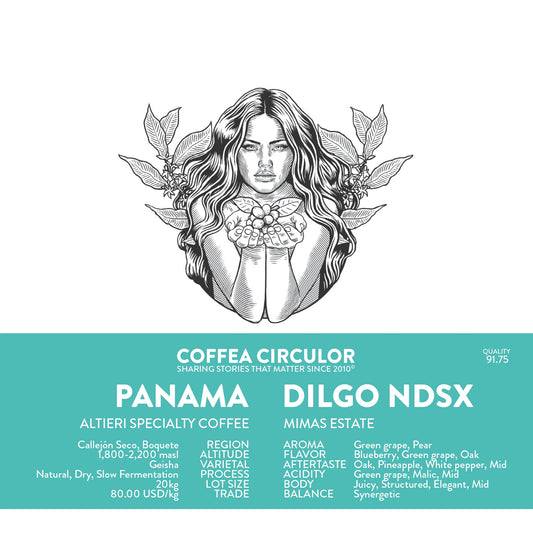PANAMA ALTIERI DILGO NDCX