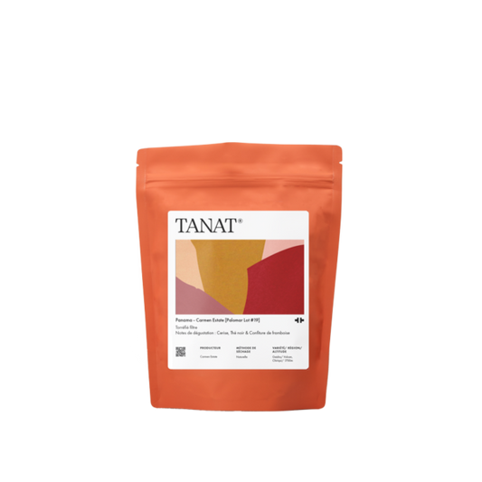 Panama Finca Carmen [Palomar GN19]