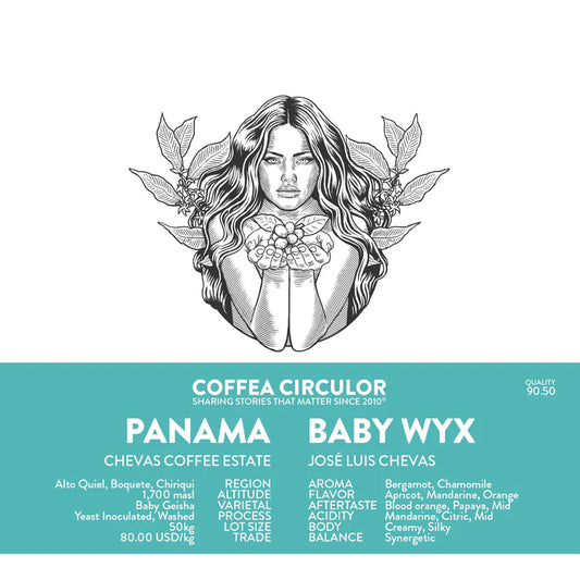 PANAMA CHEVAS BABY WYX