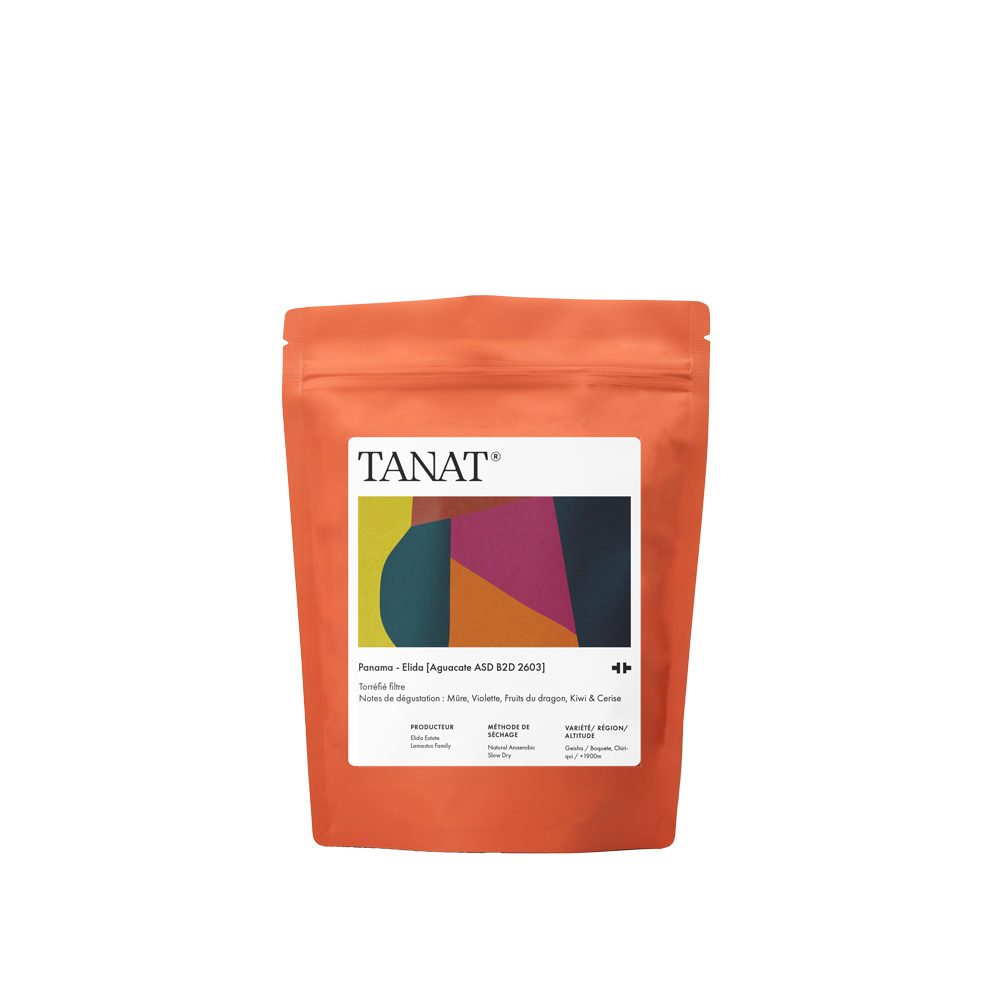 PANAMA FINCA ELIDA AGUACATE