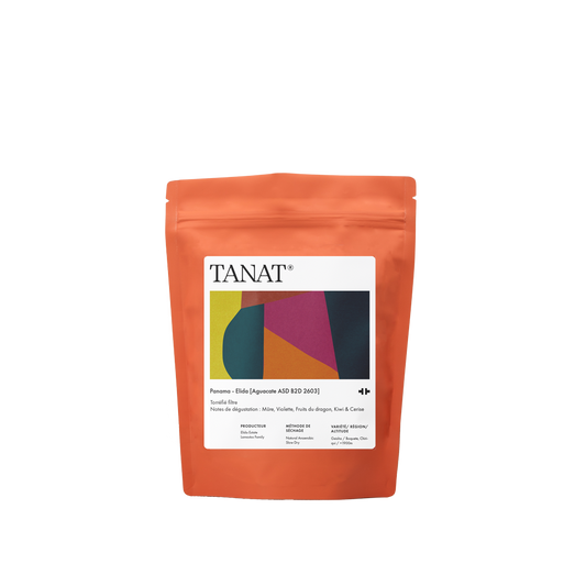 PANAMA FINCA ELIDA AGUACATE