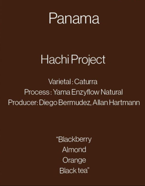 PANAMA HACHI PROJECT