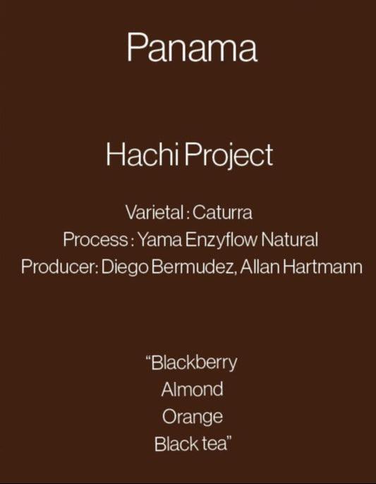 PANAMA HACHI PROJECT