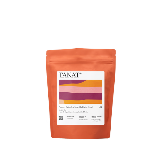 PANAMA HACIENDA LA ESMERALDA AGUILA