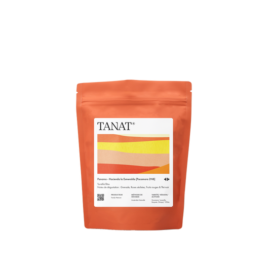 PANAMA LA ESMERALDA PACAMARA