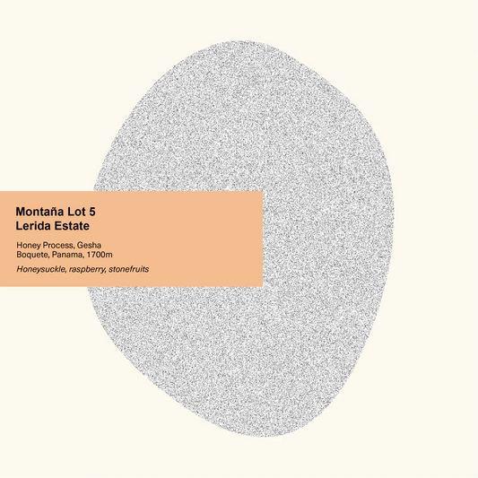 Panama Lerida Estate Montana Lot 5
