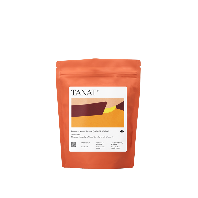 Panama Mount Totumas Pache