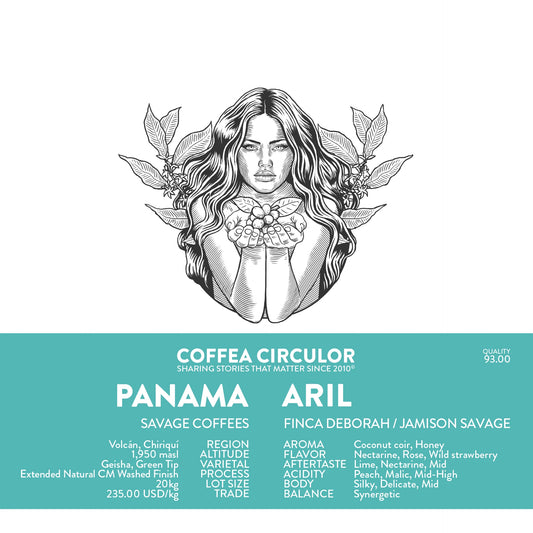 PANAMA DEBORAH ARIL