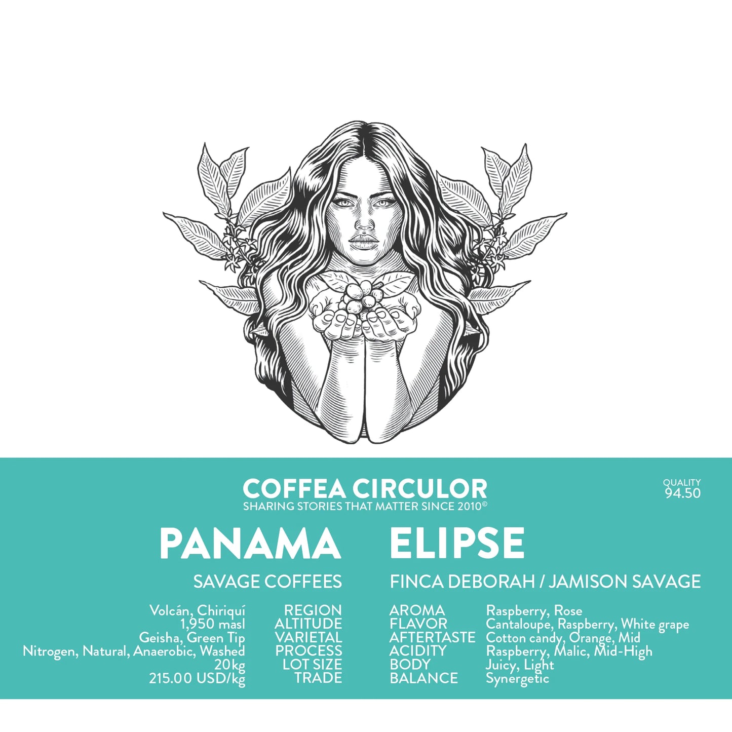 PANAMA DEBORAH ELIPSE