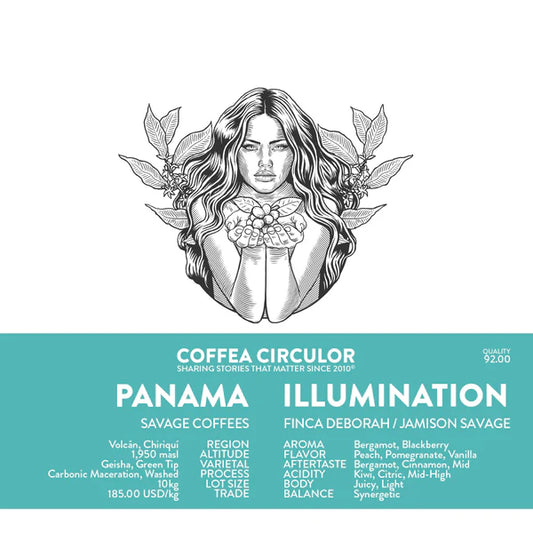 PANAMA - SAVAGE ILLUMINATION