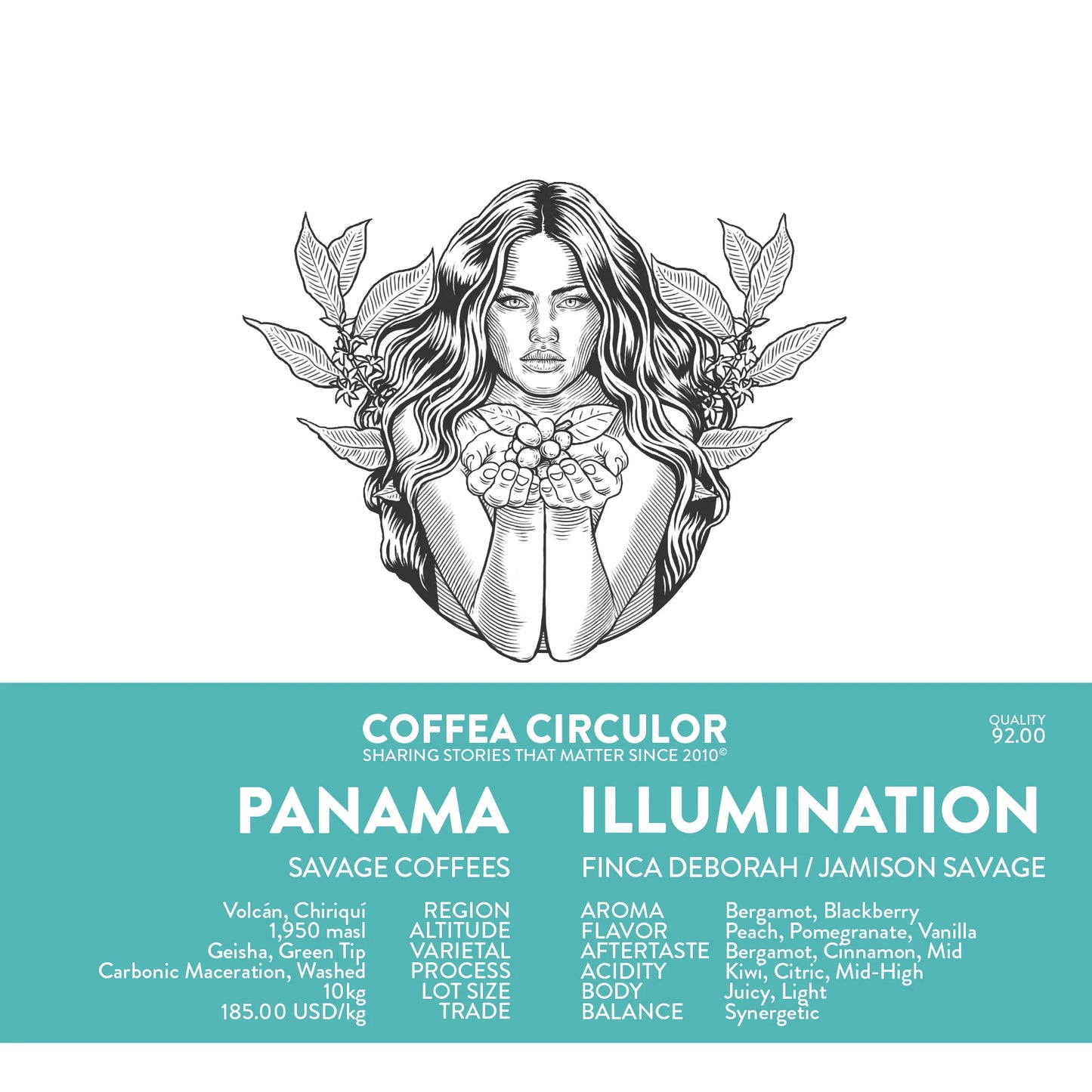 PANAMA DEBORAH ILLUMINATION