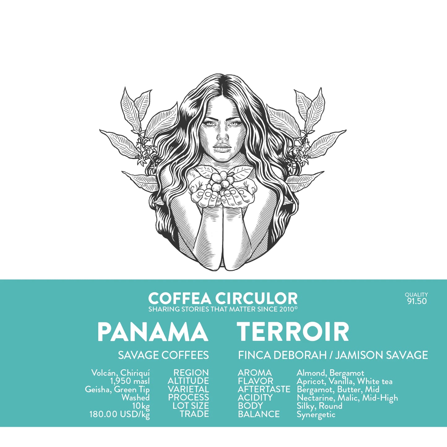 PANAMA DEBORAH TERROIR
