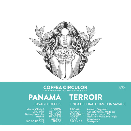PANAMA DEBORAH TERROIR