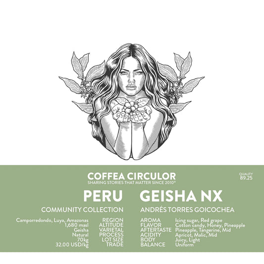 PERU DON ANDRES GEISHA